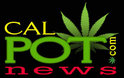 California pot news and opinion articles