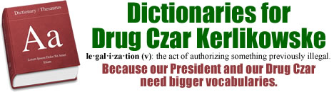 Dictionaries for the Drug Czar