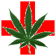 medical_cannabis : cannabis for medical use