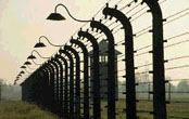 concentration camp fence